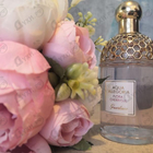 Отзывы Guerlain Aqua Allegoria Flora Cherrysia