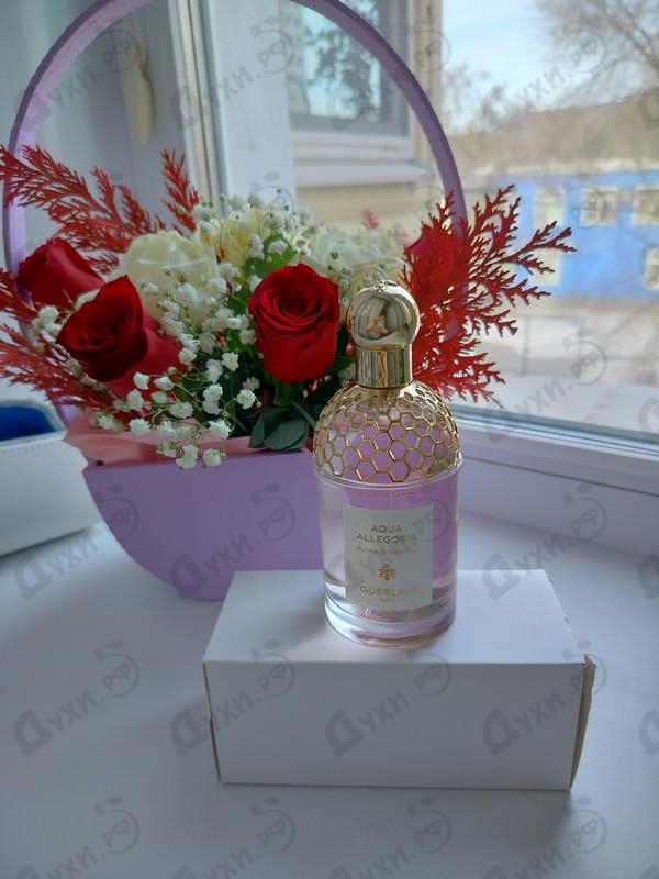 Парфюмерия Guerlain Aqua Allegoria Flora Cherrysia
