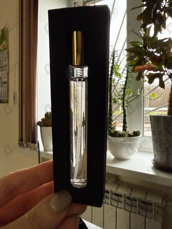 Купить Lust In Paradise от Ex Nihilo