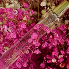 Отзывы Ex Nihilo Lust In Paradise