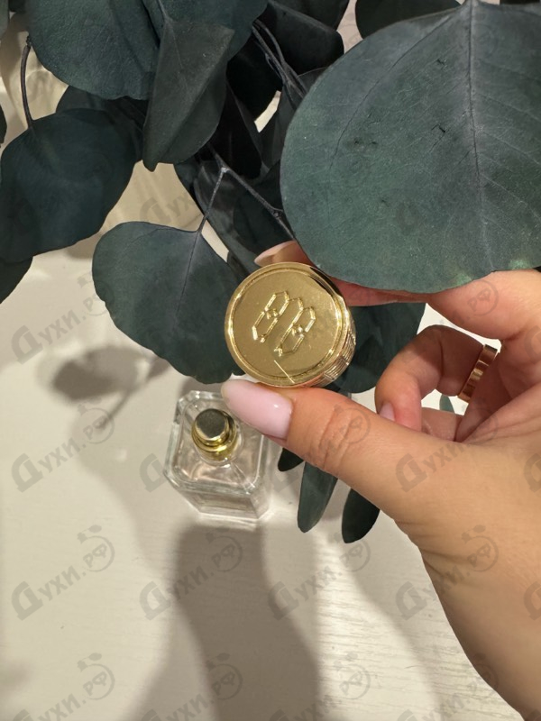 Отзывы Ex Nihilo Lust In Paradise