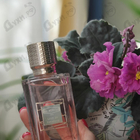 Духи Lust In Paradise от Ex Nihilo