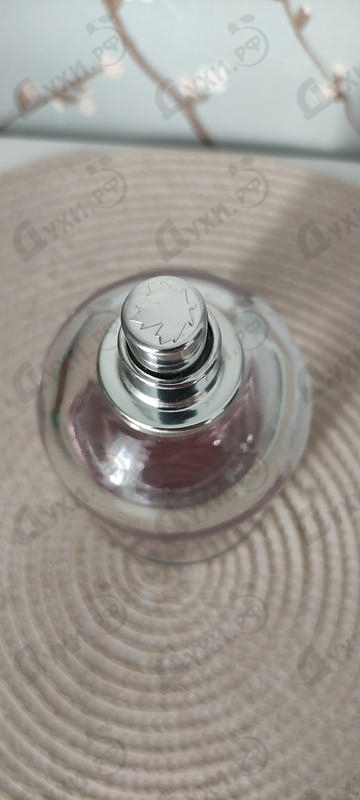 Купить Dsquared2 Wood