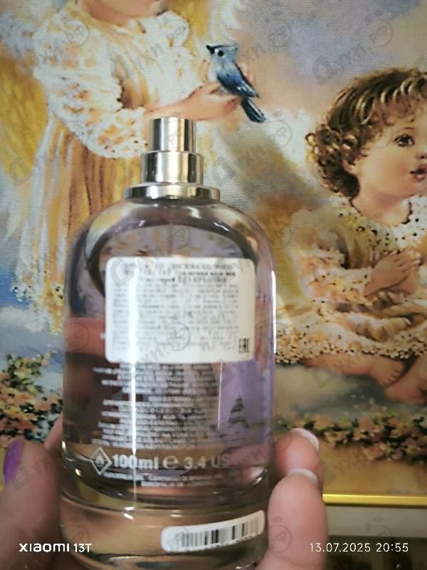 Купить Wood от Dsquared2