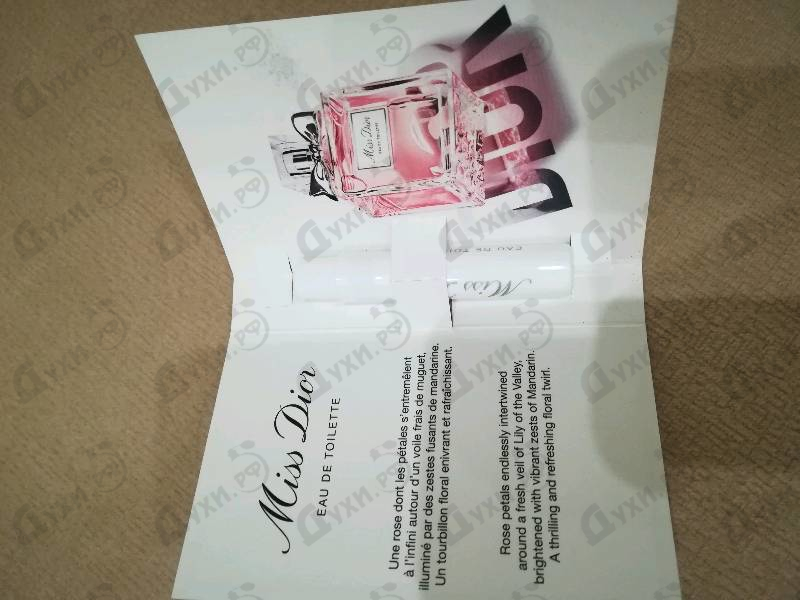 Купить Miss Dior Eau De Toilette (2019) от Christian Dior Отзывы Christian Dior Miss Dior Eau De Toilette (2019)
