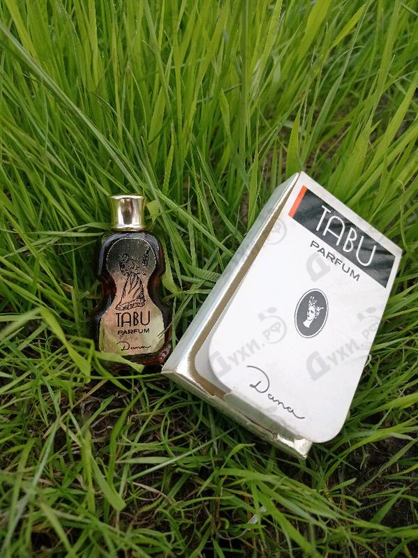 Купить Tabu от Dana