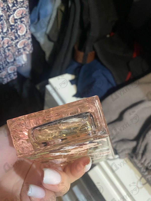 Купить This Is Her! No Rules от Zadig & Voltaire