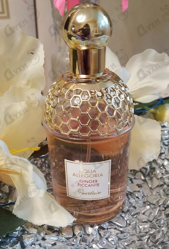 Парфюмерия Aqua Allegoria Ginger Piccante от Guerlain