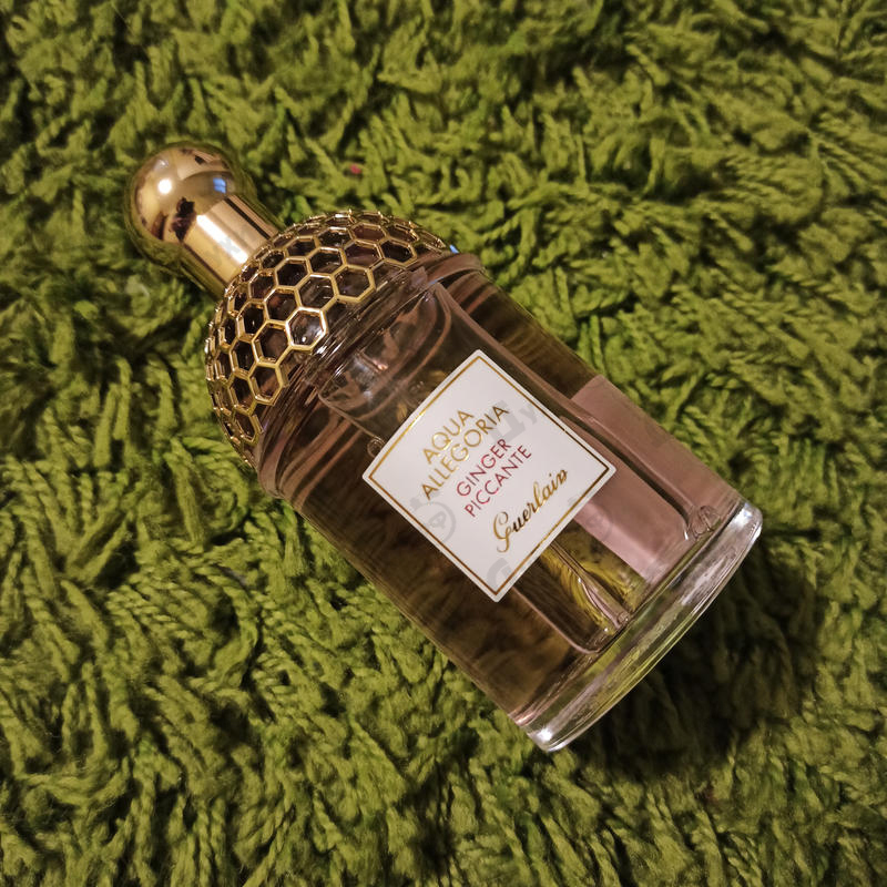 Купить Aqua Allegoria Ginger Piccante от Guerlain