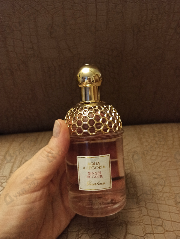 Отзывы Guerlain Aqua Allegoria Ginger Piccante