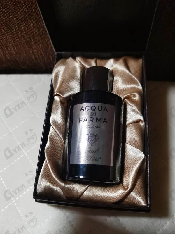 Купить Colonia Oud от Acqua Di Parma