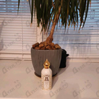 Духи Crystal Love от Attar Collection