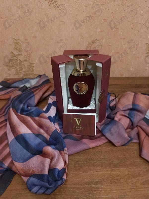 Купить V Canto Stricnina