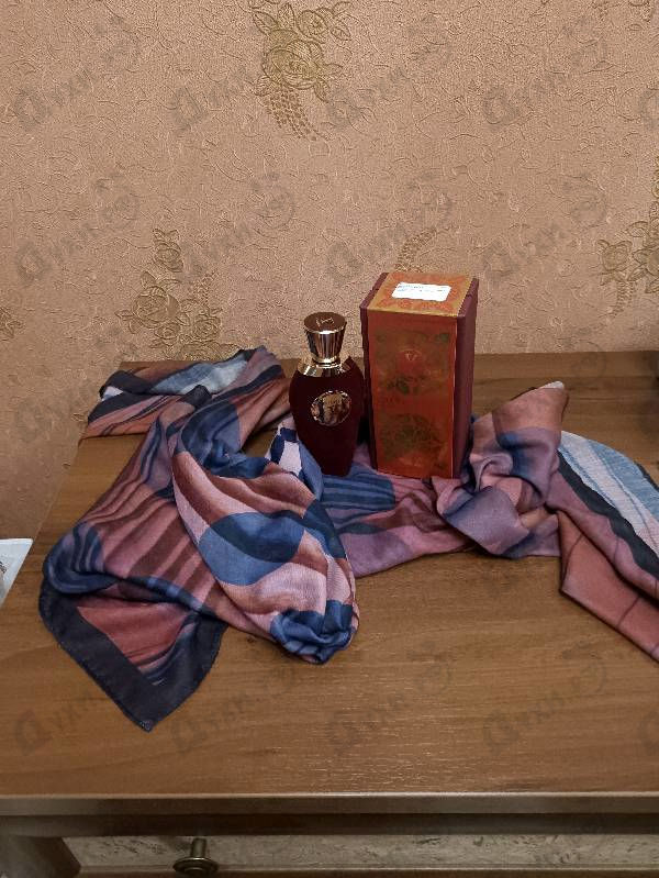 Парфюмерия Stricnina от V Canto