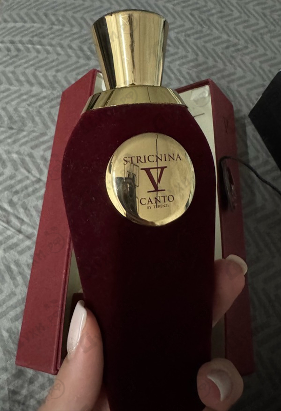 Купить Stricnina от V Canto