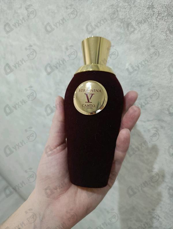 Купить V Canto Stricnina