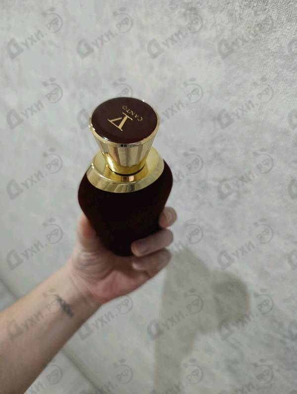 Купить Stricnina от V Canto