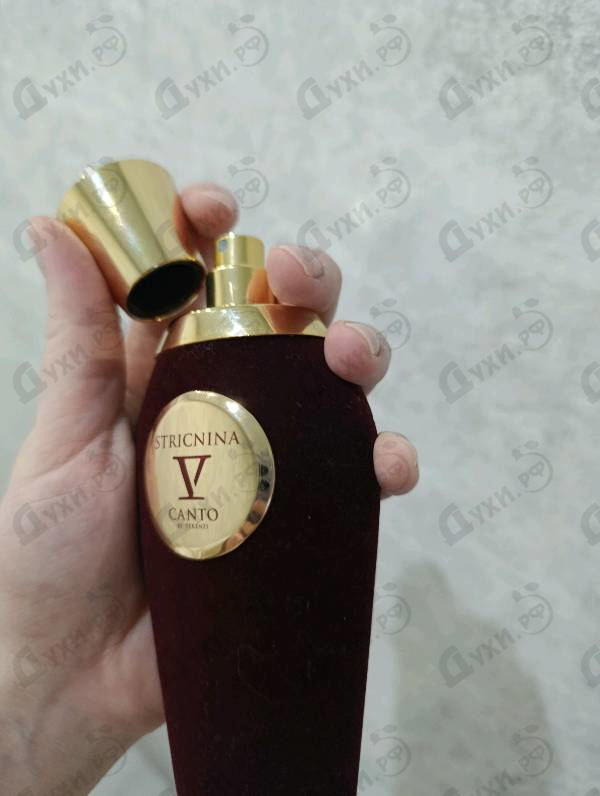 Парфюмерия V Canto Stricnina