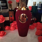 Отзыв V Canto Stricnina