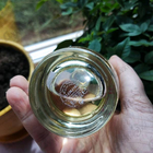 Отзыв Lanvin A Girl In Capri