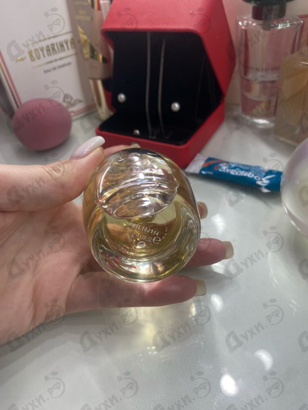 Купить A Girl In Capri от Lanvin