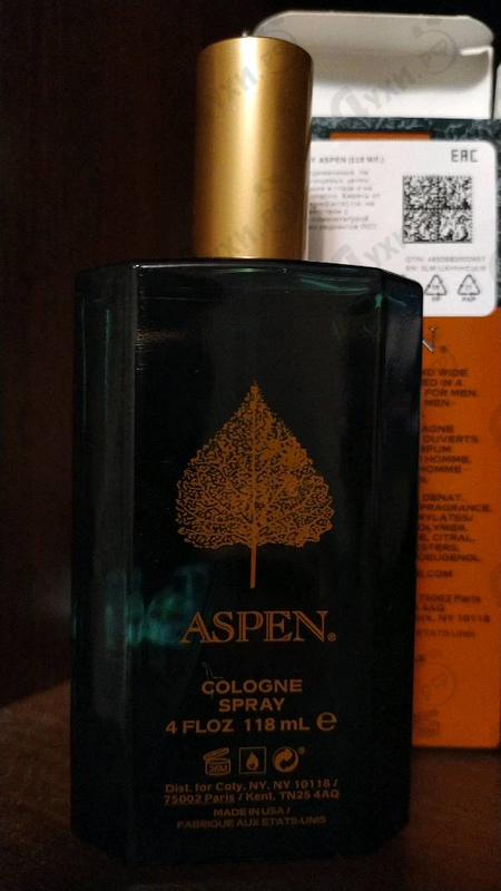 Купить Coty Aspen