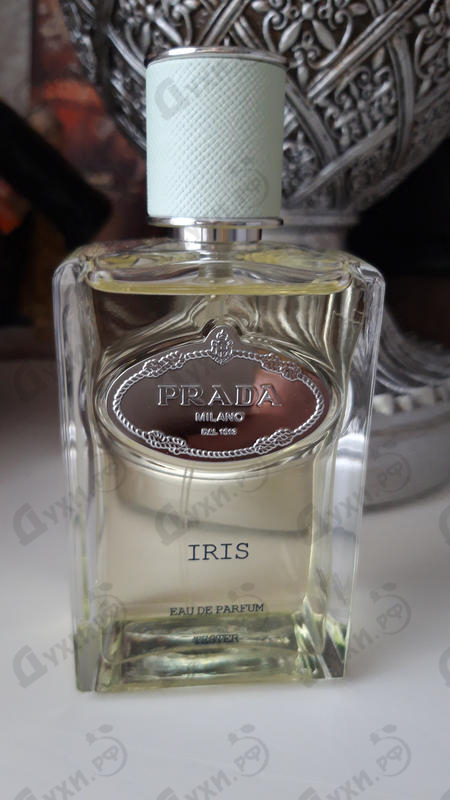 Парфюмерия Infusion D'Iris (2015) от Prada