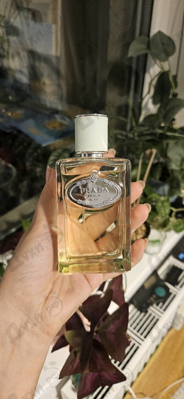 Парфюмерия Infusion D'Iris (2015) от Prada