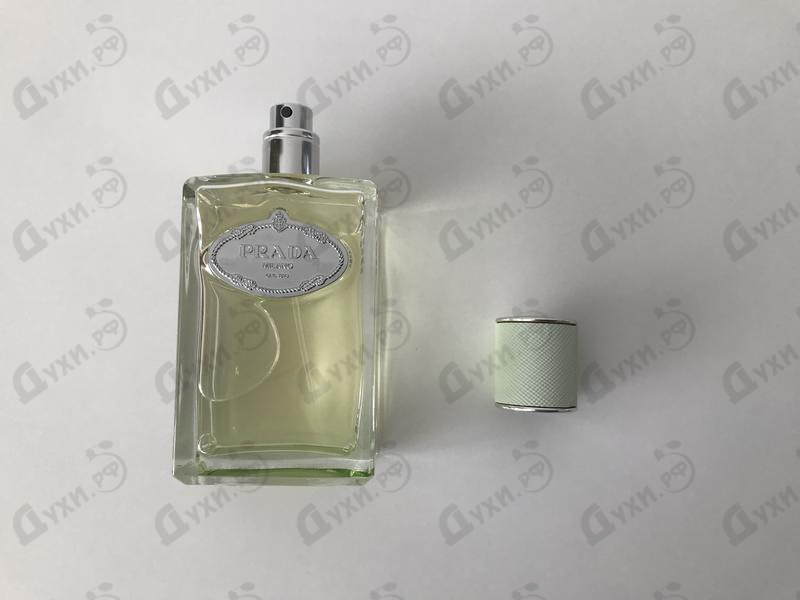 Купить Infusion D'Iris (2015) от Prada