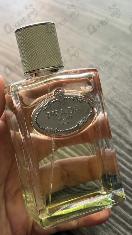 Духи Infusion D'Iris (2015) от Prada