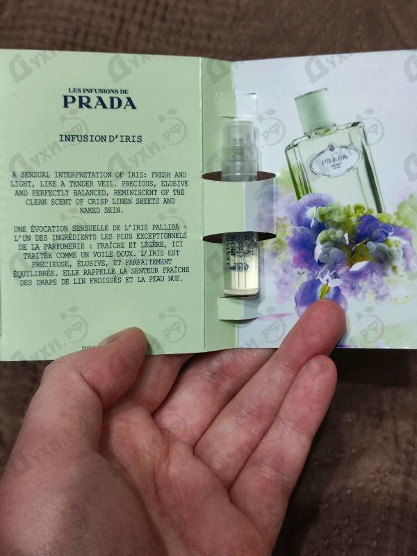 Духи Infusion D'Iris (2015) от Prada