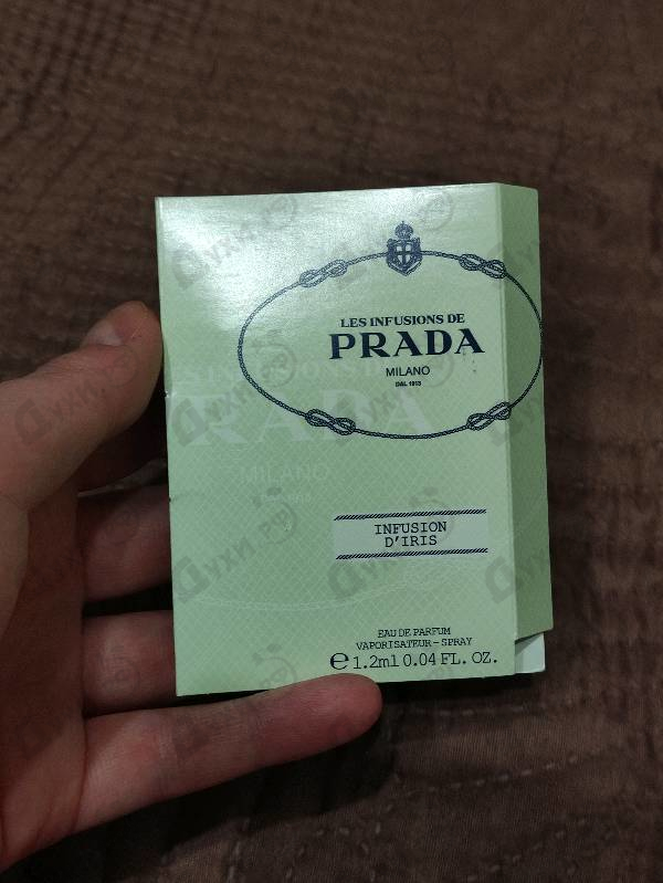 Отзывы Prada Infusion D'Iris (2015)