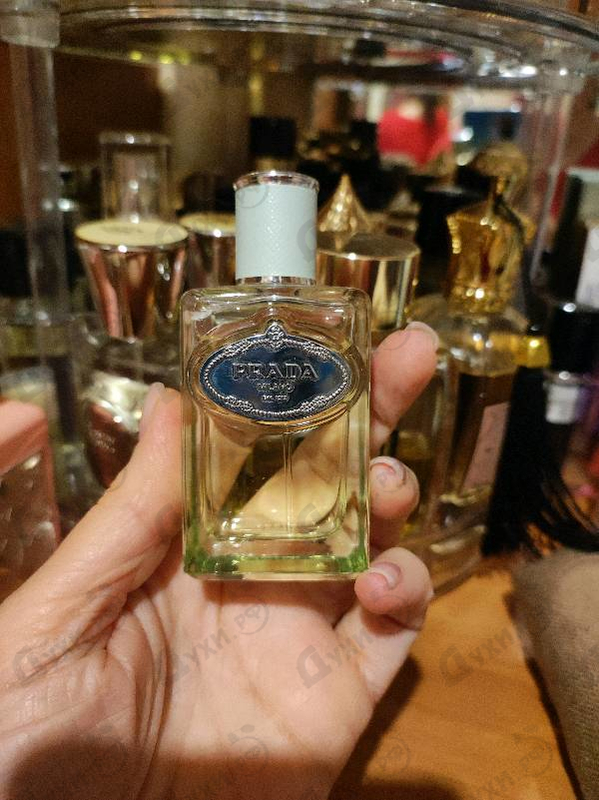 Духи Infusion D'Iris (2015) от Prada