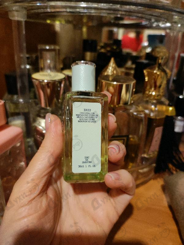 Купить Infusion D'Iris (2015) от Prada