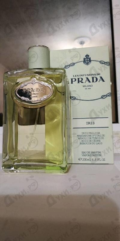 Парфюмерия Prada Infusion D'Iris (2015)