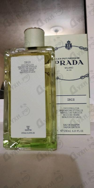 Отзывы Prada Infusion D'Iris (2015)