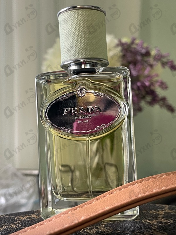 Парфюмерия Infusion D'Iris (2015) от Prada