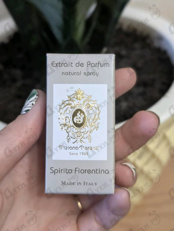 Купить Spirito Fiorentino от Tiziana Terenzi