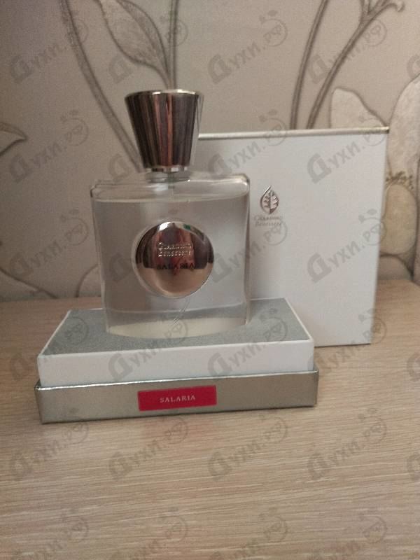 Купить Salaria от Giardino Benessere