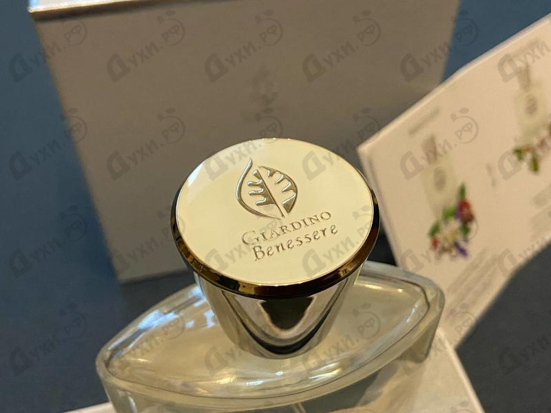 Купить Salaria от Giardino Benessere