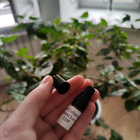 Парфюм Attar Collection Crystal Love