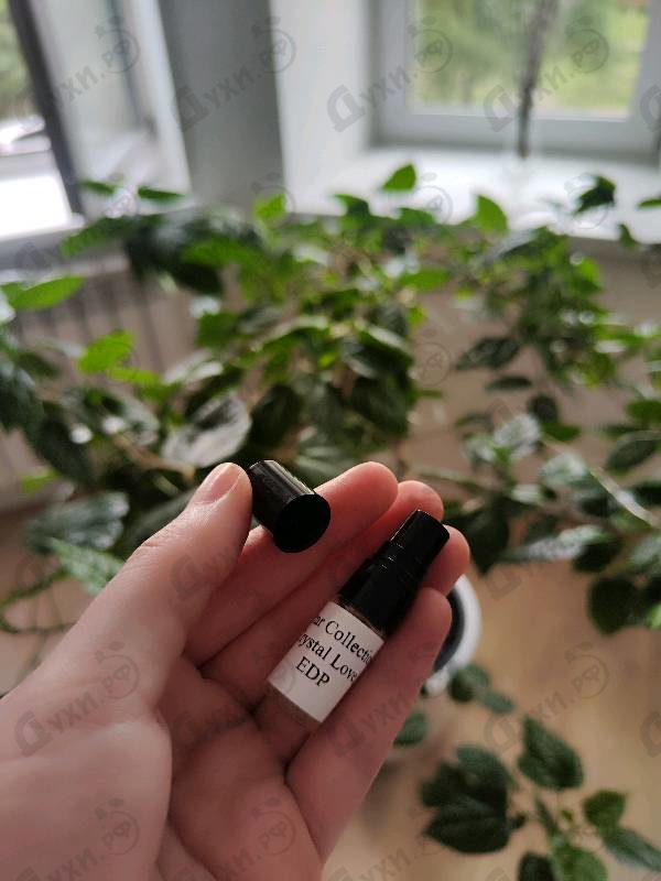 Купить Crystal Love от Attar Collection