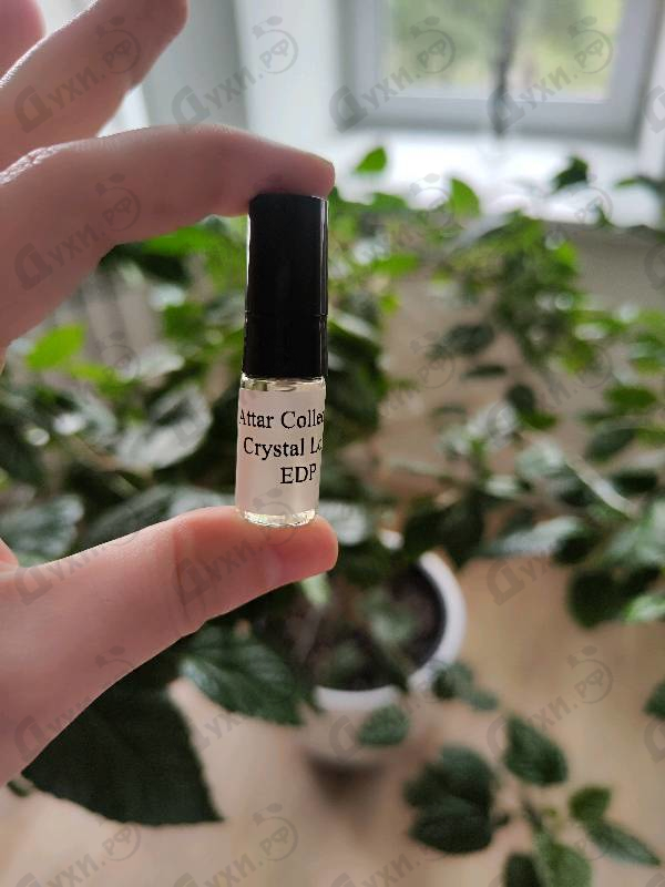 Отзывы Attar Collection Crystal Love