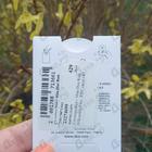 Духи Miss Dior Rose N'Roses от Christian Dior