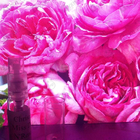 Парфюм Christian Dior Miss Dior Rose N'Roses