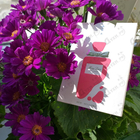 Отзывы Christian Dior Miss Dior Rose N'Roses