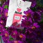 Отзыв Christian Dior Miss Dior Rose N'Roses