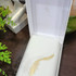 Купить Murmure D'Ete от Plume Impression Отзыв Plume Impression Murmure D'Ete