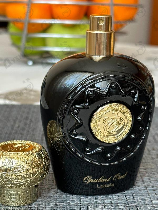 Купить Opulent Oud от Lattafa Perfumes