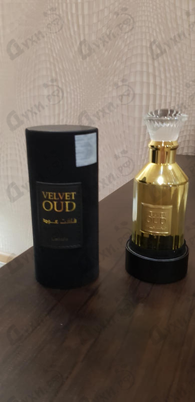 Парфюм Lattafa Perfumes Velvet Oud Купить Velvet Oud от Lattafa Perfumes